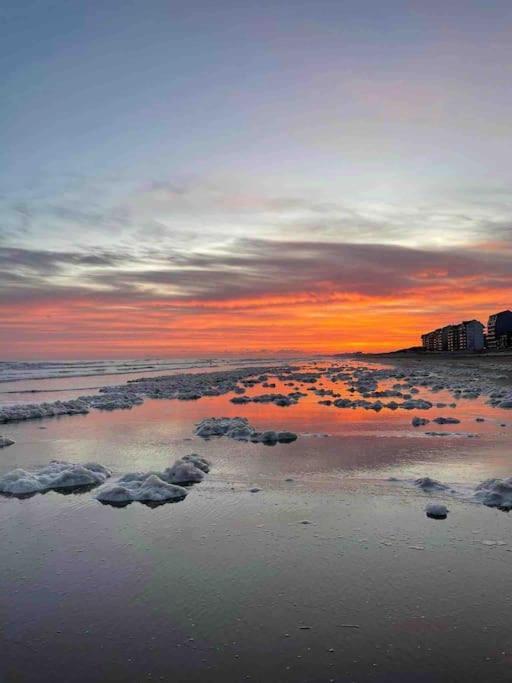 Face A La Mer, Appartement Rdc Bray Dunes Zewnętrze zdjęcie