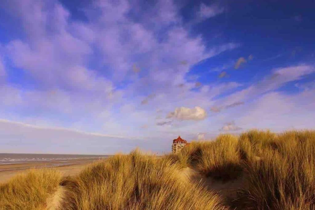 Face A La Mer, Appartement Rdc Bray Dunes Zewnętrze zdjęcie